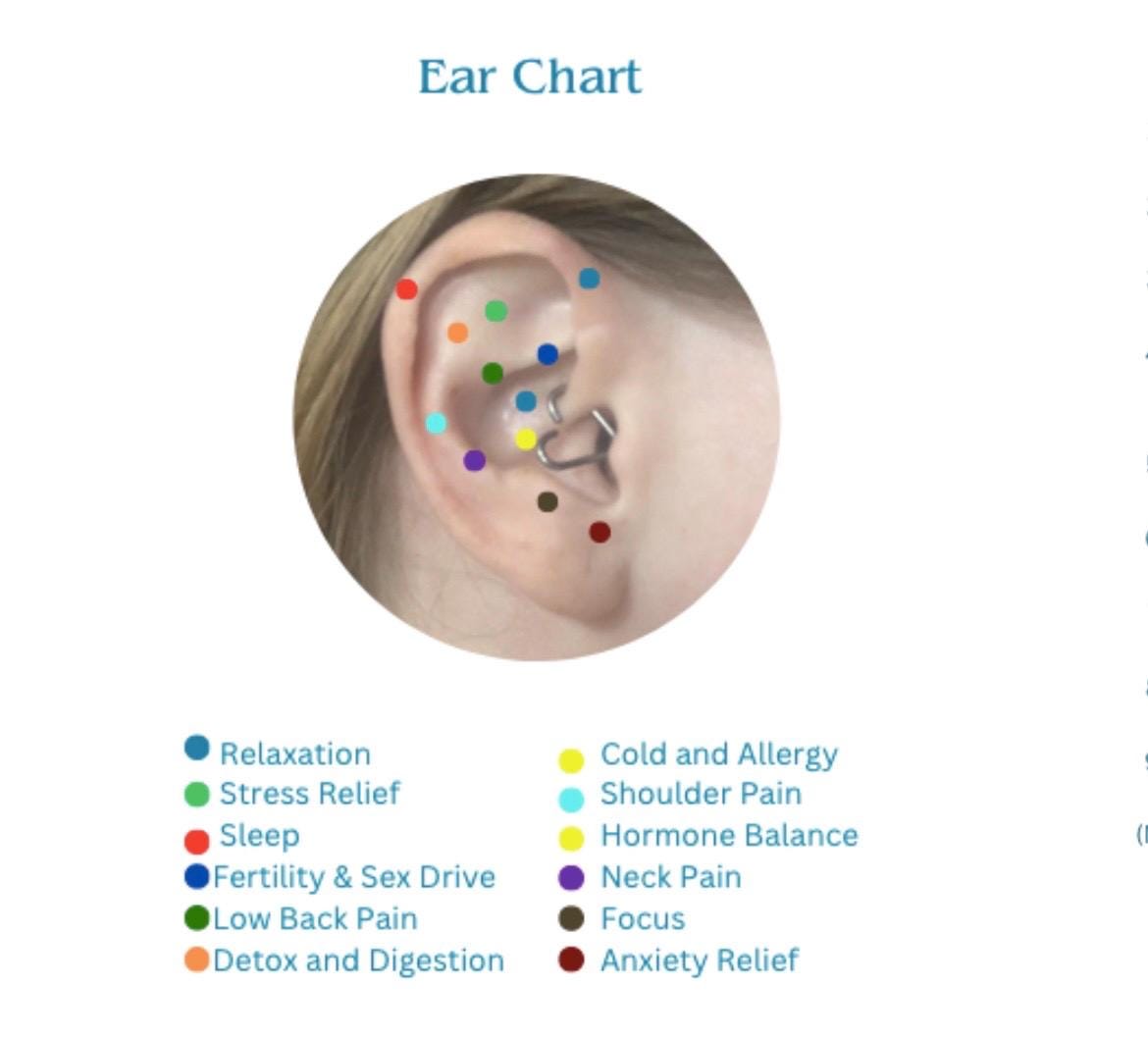 40 Piece Gold Plated Acupressure Ear Seed Kit + Gift wrap + Application Guide | Letterbox Gift Set | Holistic Healing | Health & Wellbeing