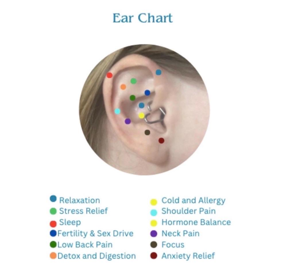 Value Bundle 60pcs Acu Ear Seeds + Mapping Guide + Tweezer| 24K Gold or Silver Plated | Letterbox Gift | Acupressure | Health & Wellness Kit